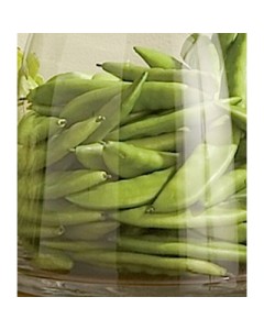 B1949 - Bag of 24 Peas