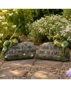 K1146 - Mini frog on rock