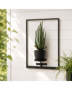 Wall planter with plant